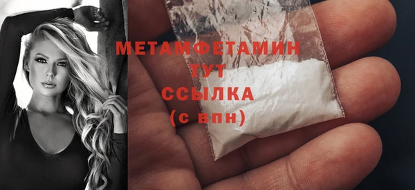 индика Елизово