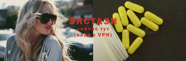 индика Елизово