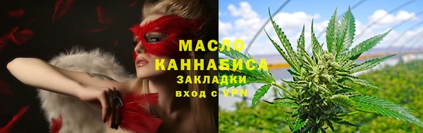 индика Елизово