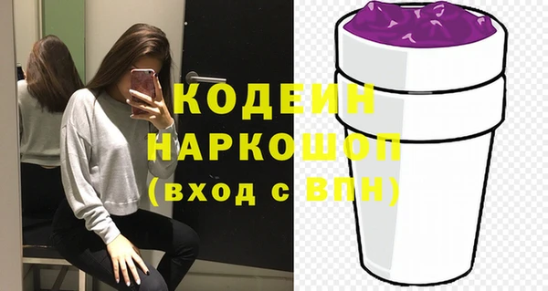 индика Елизово