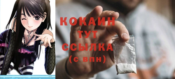 индика Елизово