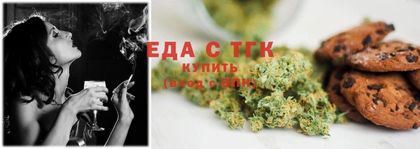индика Елизово