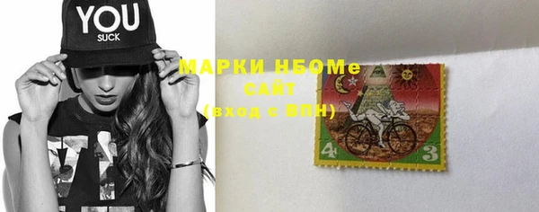 индика Елизово
