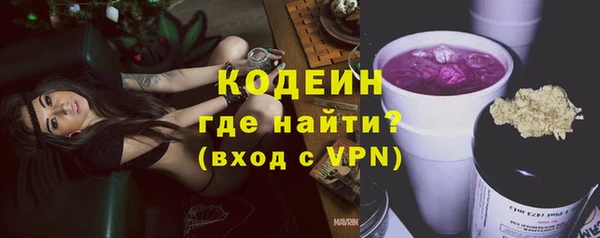 индика Елизово