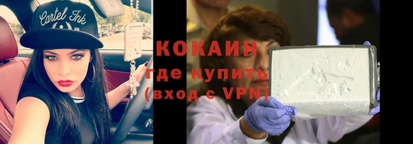 индика Елизово
