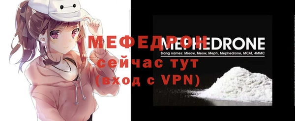 индика Елизово