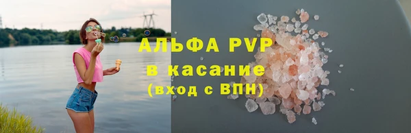 индика Елизово