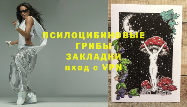 ALPHA PVP Ельня