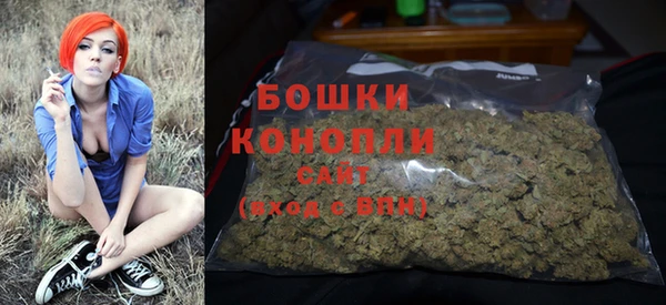 ALPHA PVP Ельня