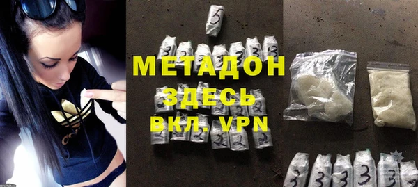 индика Елизово
