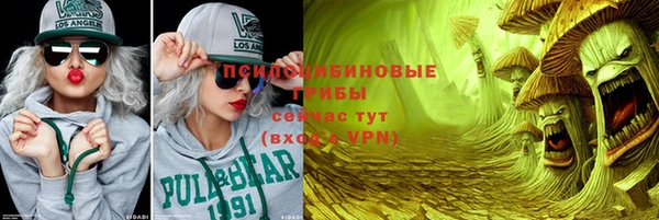 ALPHA PVP Ельня