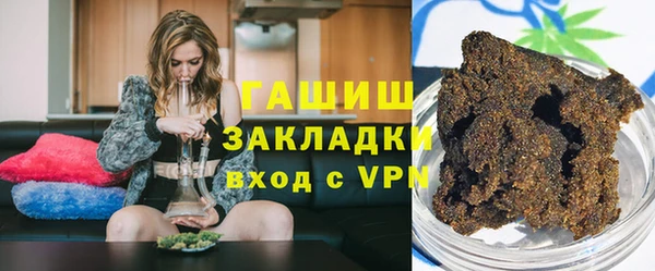 индика Елизово