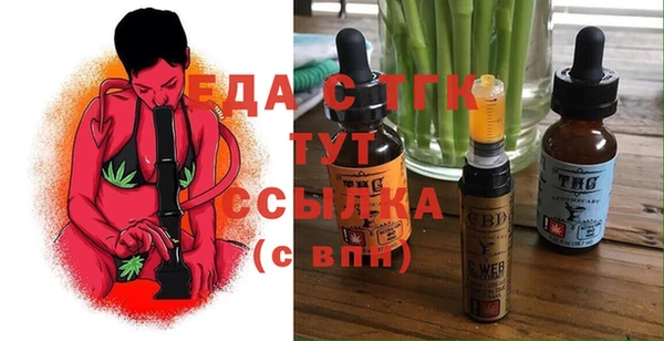 индика Елизово