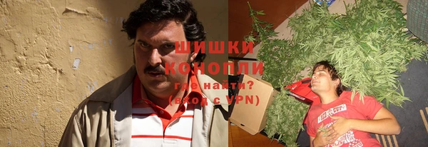 индика Елизово