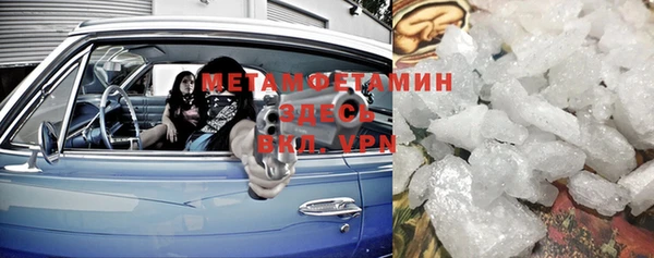 индика Елизово