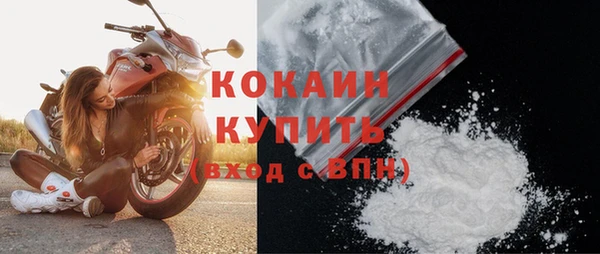 индика Елизово