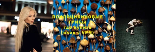 ALPHA PVP Ельня